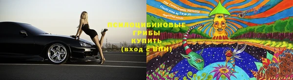 трава Верея