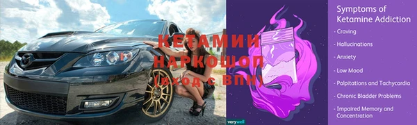трава Верея