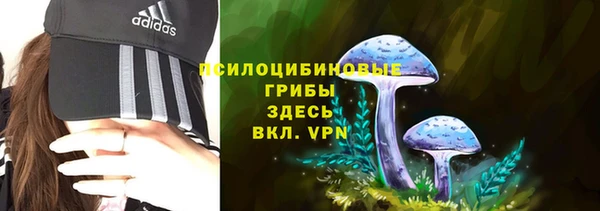 трава Верея